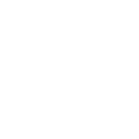 מומחיות ושירות